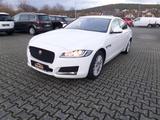 Jaguar XF 2.0d Pure Autom+Navi+Standhzg+Cam+PDC+1.Hand - gebrauchte Jaguar XF aus dem Jahr 2019