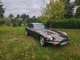 Jaguar E-typ - Jaguar aus 1971