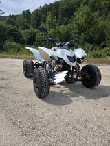 Explorer Trasher 520 SM - Offers