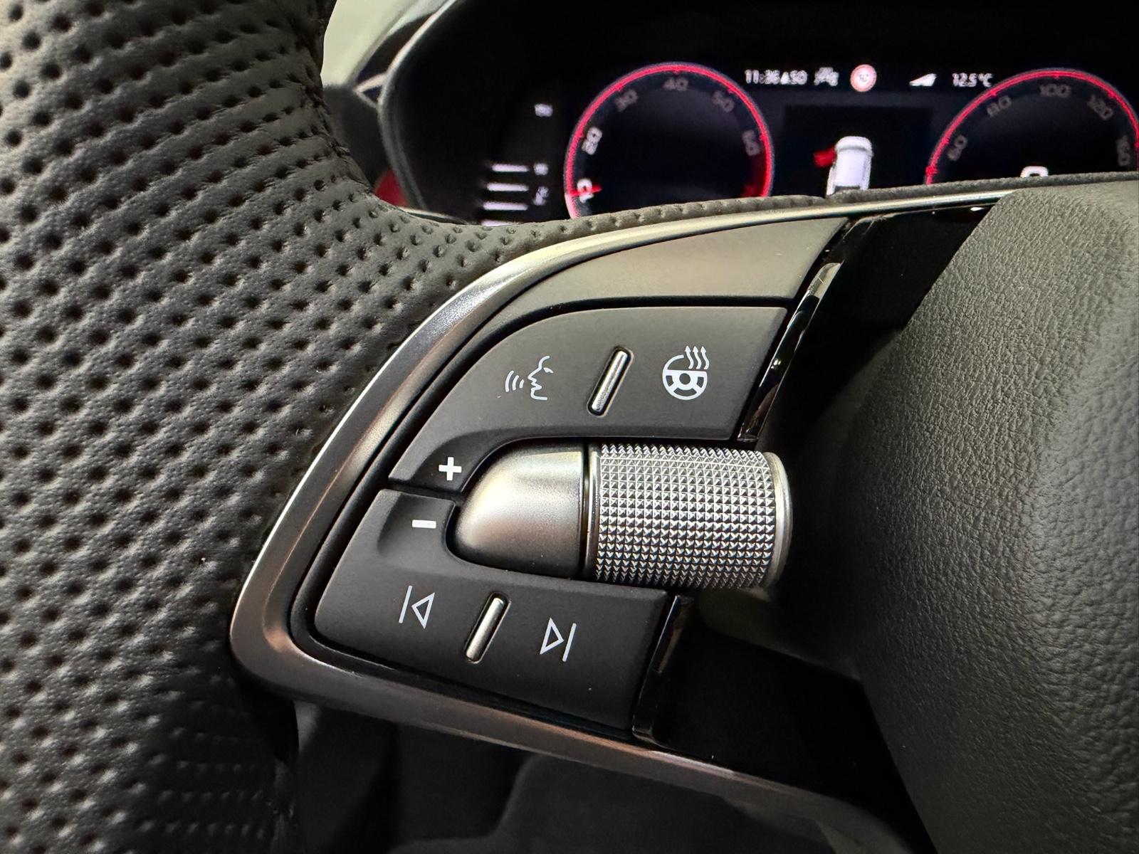 Skoda Fabia Monte Carlo#RFK#SHZ#APP#PDC#LED#MFL#Sport