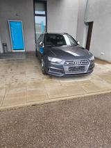 Audi S4 3.0 TFSI tiptronic quattro Avant - - graue Audi S4