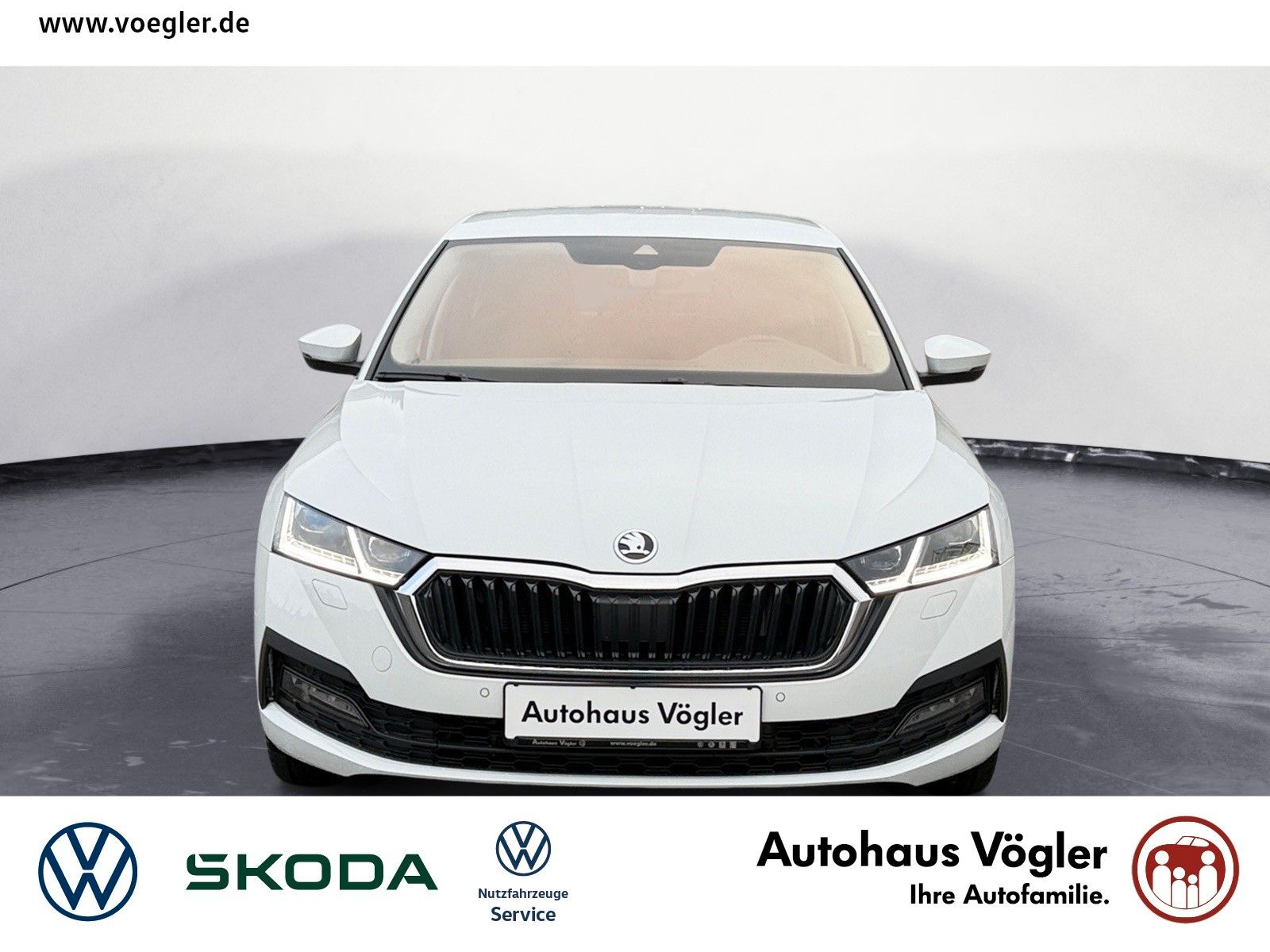 Octavia Plug-In-Hybrid AHK Navi Matrix Massage