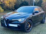 Alfa Romeo Stelvio Quadrifoglio Q4 510PS *VOLL *ACC *Kamera - Alfa Romeo Gebrauchtwagen in München