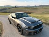 Ford Mustang 3,7 V6 - gebrauchte Ford Mustang aus dem Jahr 2014
