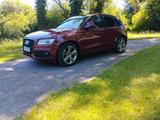 Audi SQ5 3.0 TDI tiptronic quattro - - Audi SQ5: Rot
