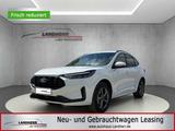 Ford Kuga  ST-Line // 5 J. Garantie /AHK/Winterpaket