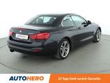 BMW 430i xDrive Sport Line Aut.*NAVI*LED*TEMPO* - BMW: Allradantrieb, Cabrio