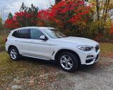 BMW X3 xDrive20i xLine AT, BusinessPaket , 8fach - BMW X3 von privat