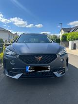 Cupra Formentor 2.0 TSI 228kW 4Drive DSG - - Cupra Formentor in Kassel