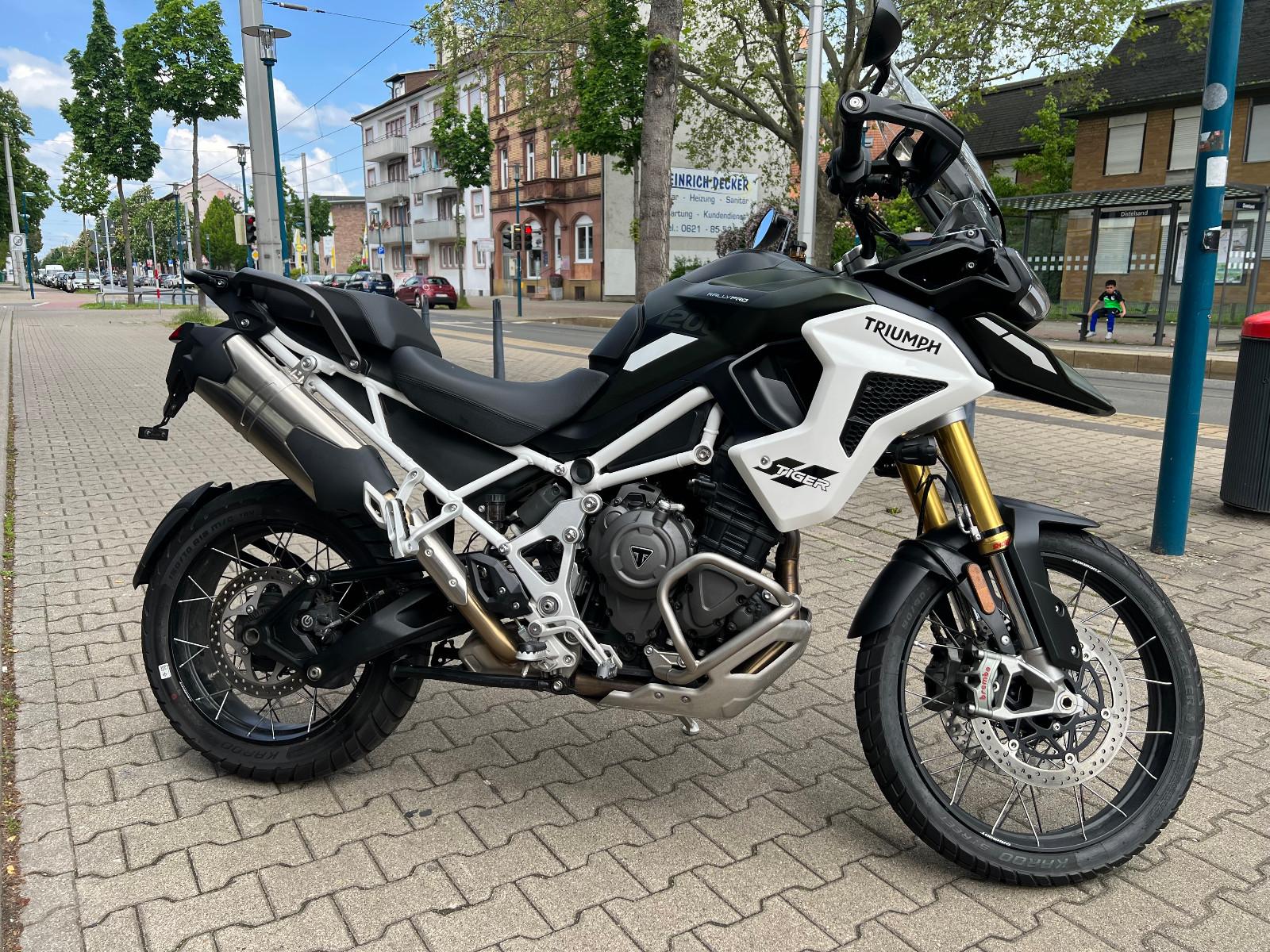 Triumph Tiger 1200 Rally Pro * Grün ** Neufahrzeug