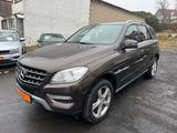 Mercedes-Benz ML 250 ML -Klasse ML 250 CDI BlueTec - Mercedes-Benz aus 2012: M Klasse