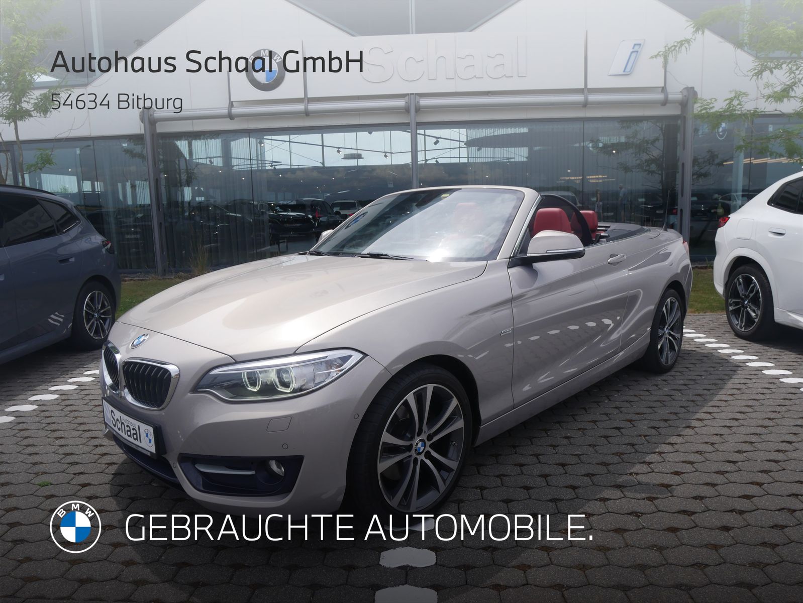 BMW 220i Cabrio Sport Line HiFi XENON RFK NAV PDC