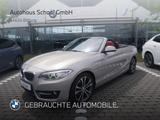 BMW 220i Cabrio Sport Line HiFi Xenon RFK Tempomat - BMW: R