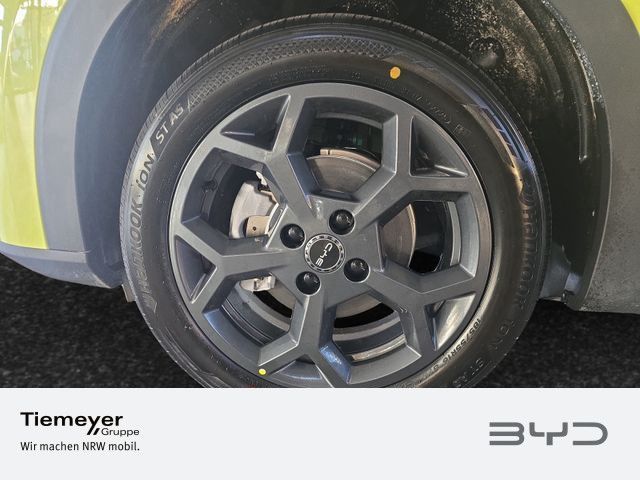 BYD DOLPHIN SURF