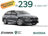 Skoda Octavia - Vorschau Bild 1