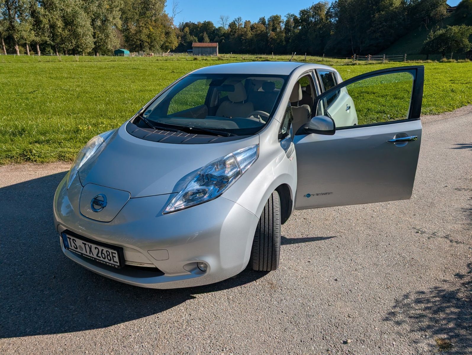 Nissan Leaf (2013)