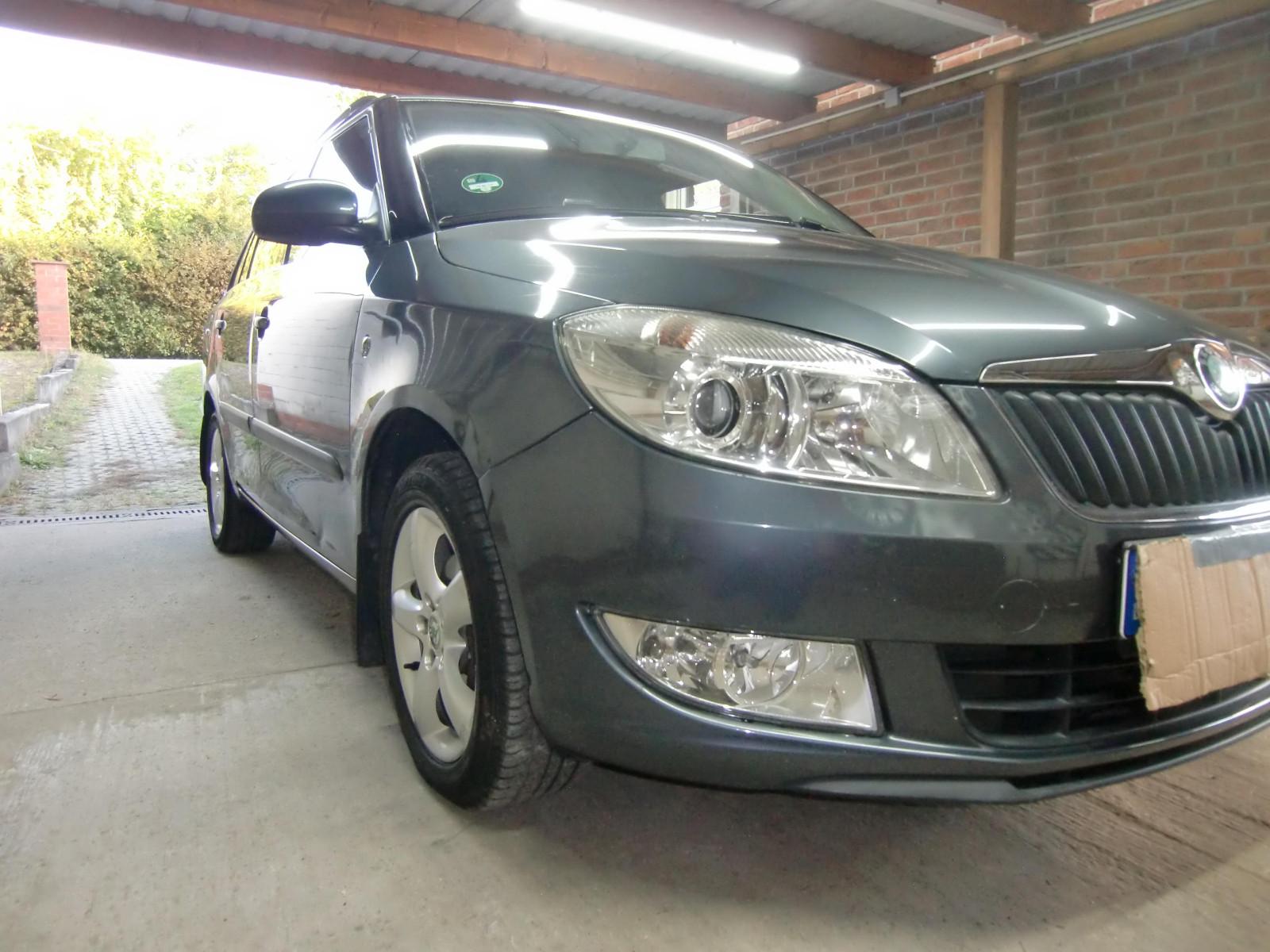 Skoda Fabia 2010 — rear view