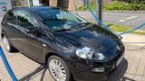 Fiat Punto Street 1.2  gepflegt, sparsam ... - Fiat Punto in Dortmund