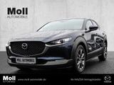 Mazda CX-30 Selection 2WD 2.0 SKYACTIV-X M Hybrid EU6d - Mazda aus 2022