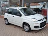 Fiat Panda Easy - gebrauchte Fiat Panda aus dem Jahr 2019