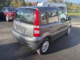 Fiat Panda 1.2 8V Classic Zahnriemen neu - graue Fiat Panda