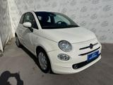 Fiat 500 1.0 70cv Hybrid Pop - Fiat 500 Pop mit Hybrid-Antrieb (Benzin/Elektro)