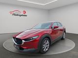Mazda CX-30 Selection, ACC, Navi, SHZ, PDC, 8-fach - Mazda: Cx8