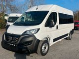 Fiat Ducato 9-Sitzer Kombi mit Olmedo-Umbau - Fiat 9 sitzer