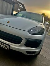 Porsche Cayenne - - - Porsche Cayenne: Weiß