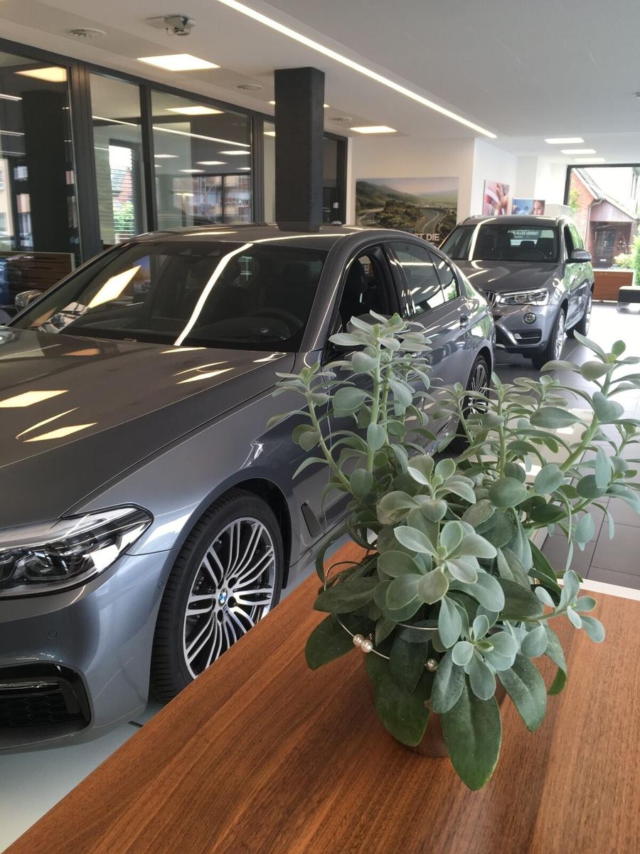 showroom-image-main