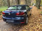 Volkswagen Golf 2.0 TDI CUP BMT Cabriolet CUP BlueMotio... - Volkswagen Golf mit Diesel-Antrieb: Cabrio, 2.0