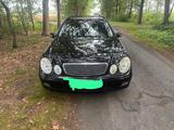 Mercedes-Benz Mercedes E270CDI Kombi Automatik Tüv Navi - Mercedes-Benz E 270: Kombi, Cdi