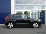 Volvo XC40 T3 Geartronic Momentum - Volvo XC40: Panorama-Dach