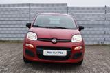 Fiat Panda Pop - Fiat Panda Gebrauchtwagen in Mannheim