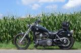 Harley-Davidson Dyna Wide Glide - HARLEY-DAVIDSON 2010 DYNA WIDE GLIDE