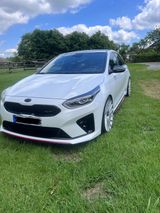 Kia cee'd / Ceed 1.6 T-GDI GT GT - Kia cee'd / Ceed: Weiß