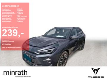 Cupra Terramar - 1