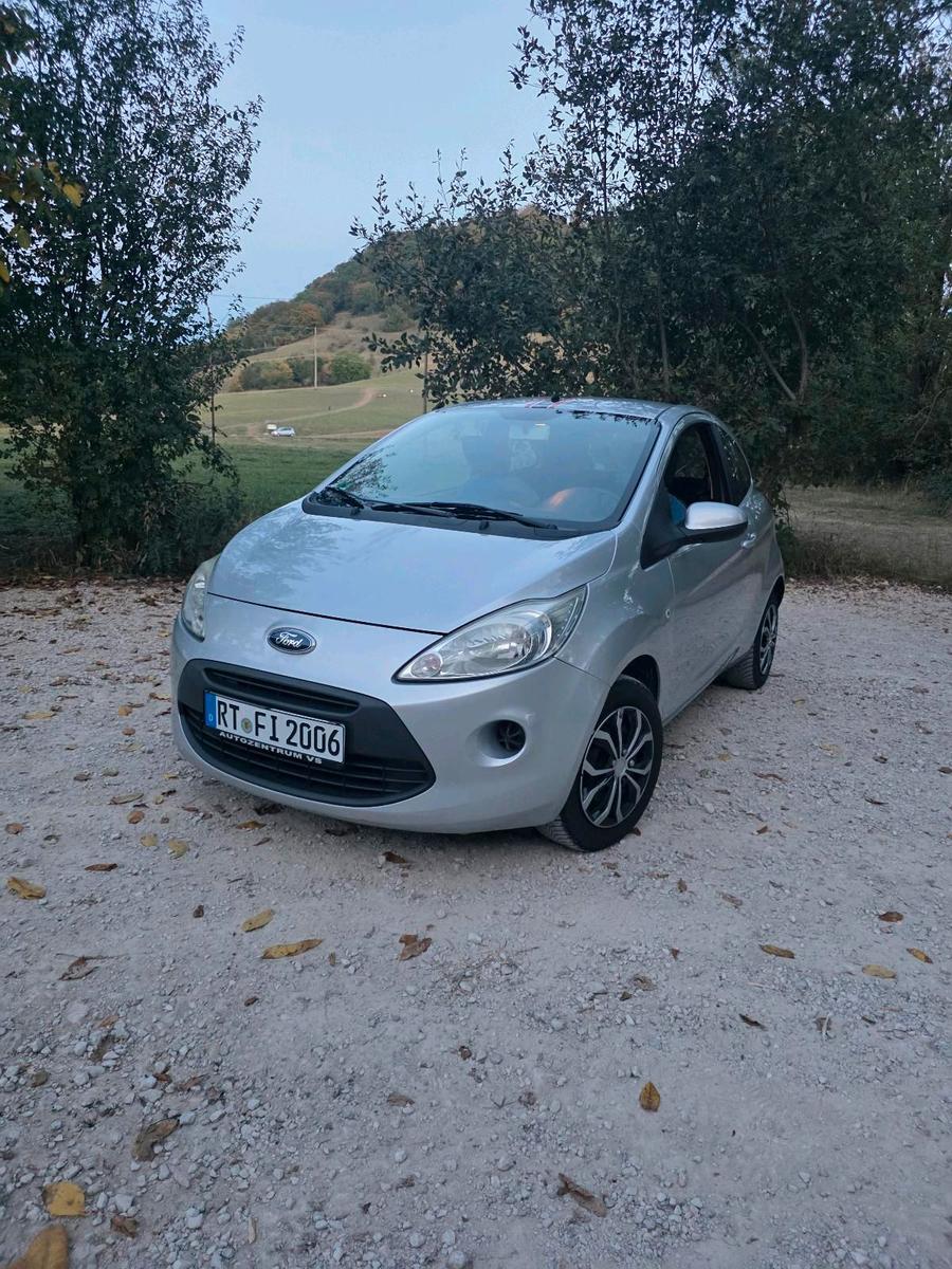 Ford Andere