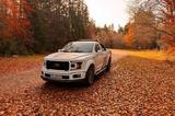 Ford F 150 - Ford F 150 Gebrauchtwagen