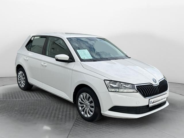 Skoda Fabia Active 1,0l TSI 96 PS 5-Gang