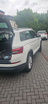 Skoda Kodiaq 2.0 TDI SCR DSG ACTIVE ACTIVE - Skoda Kodiaq: Active