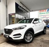Hyundai Tucson blue Classic*nur66.782KM*1-J GAR* - Hyundai TUCSON Gebrauchtwagen in Köln
