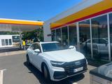 Audi Q8 50 TDI quattro tiptronic - - weiße Audi Q8