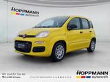 Fiat Panda 1.0 Mild Hybrid Pandina Icon