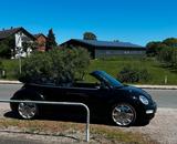Volkswagen Beetle Cabrio 1.8t Disc Felgen tausche geg... - Volkswagen Beetle mit Benzin-Antrieb: 1.8