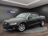 Audi A5 Cabriolet 1.8 TFSI °BI-XENON°NAVI°LEDER°SHZ - Audi A5 aus 2010: Roadster