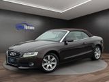 Audi A5 Cabriolet 1.8 TFSI °BI-XENON°NAVI°LEDER°SHZ - Audi A5 aus 2010: Cabrio