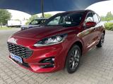 Ford Kuga ST-Line X PHEV+B&O+BLIS+LED+iACC+NAV+DAB+LM - gebrauchte Ford SUV & Geländewagen