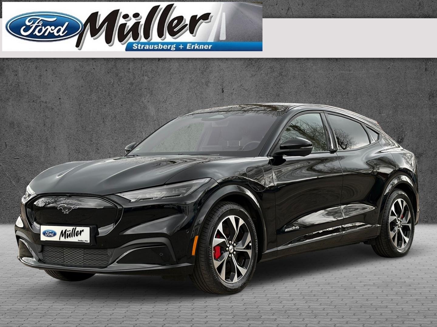 Ford Mustang MACH-E AWD Standard Range Panorama