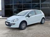 Fiat FIAT Punto Evo 1.4 BENZ/METANO 77 CV 5 porte Dyn - gebrauchte Fiat Punto Evo aus dem Jahr 2009
